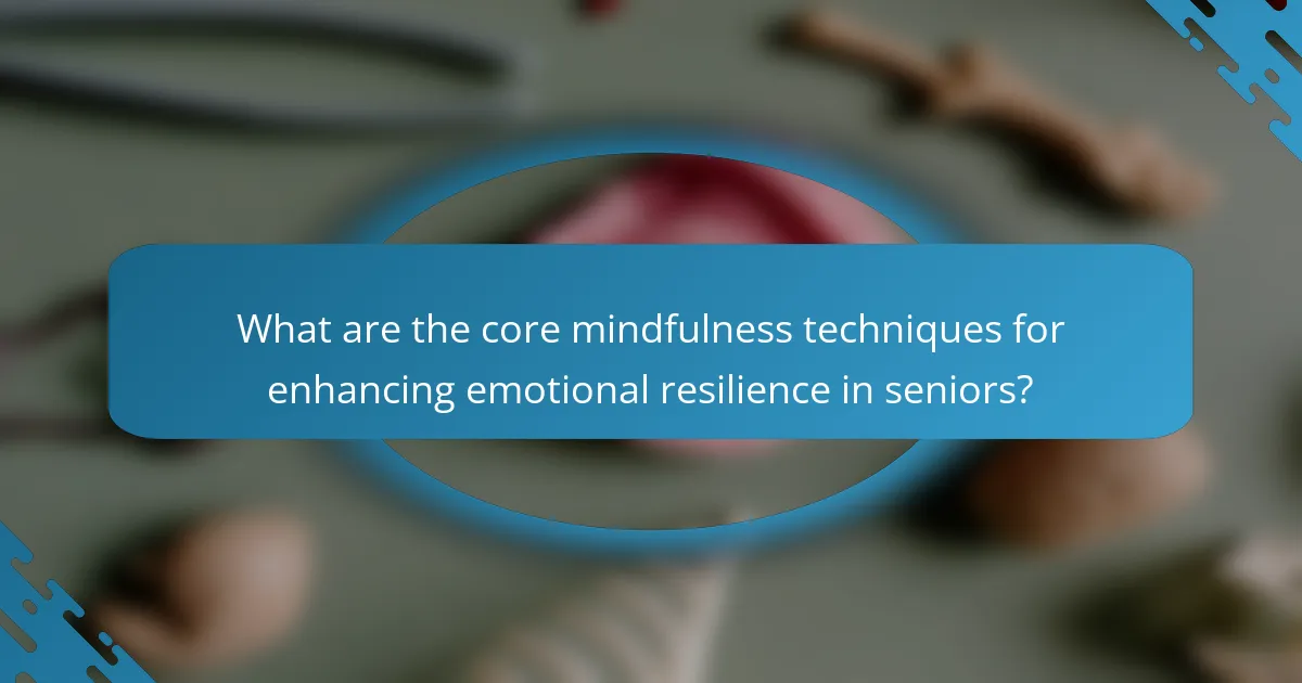 What are the core mindfulness techniques for enhancing emotional resilience in seniors?