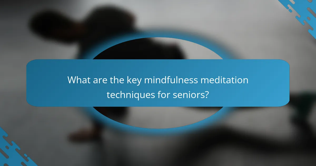 What are the key mindfulness meditation techniques for seniors?