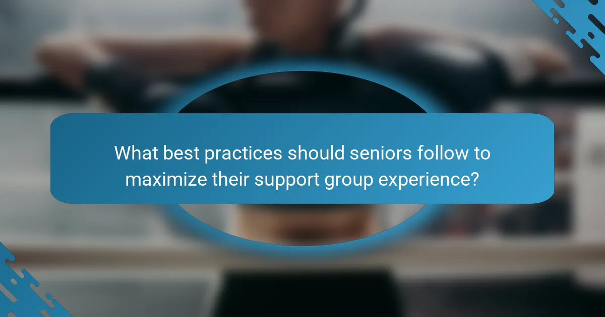 What best practices should seniors follow to maximize their support group experience?